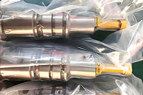 custom Plunger and Barrel Assembly for DAIHATSU DK20 Engine